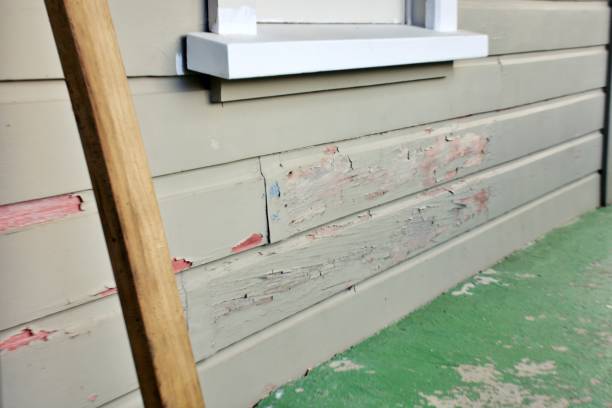 Best Siding for New Construction  in USA